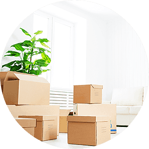 AWS Cleaning Services